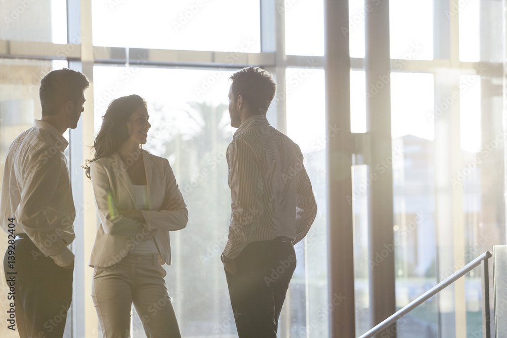 Business colleagues chatting