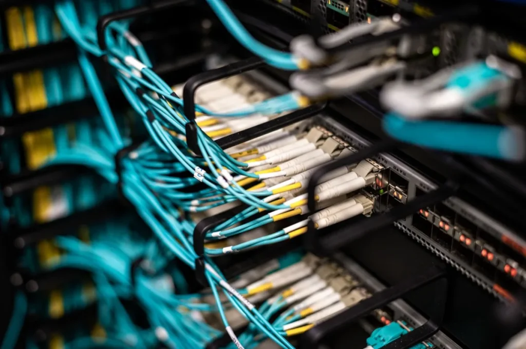Network patch panel and cabling in an enterprise server rack